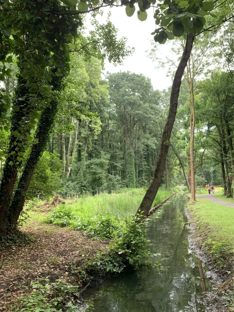 Stream and walking path through the forest park around Lake Hévíz